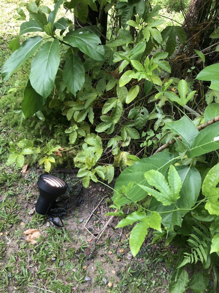 งานติดตั้งโคมไฟแต่งสวน