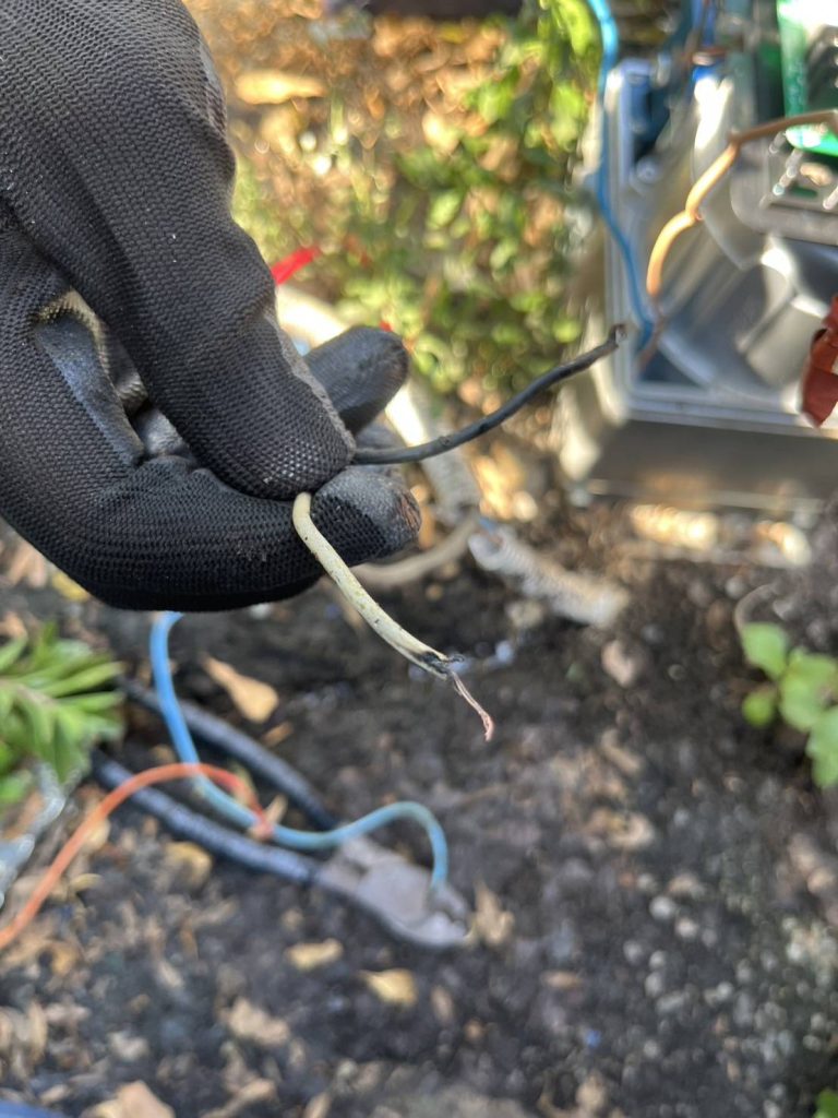 สายไฟมอเตอร์ประตูรีโมทมีรอยไหม้