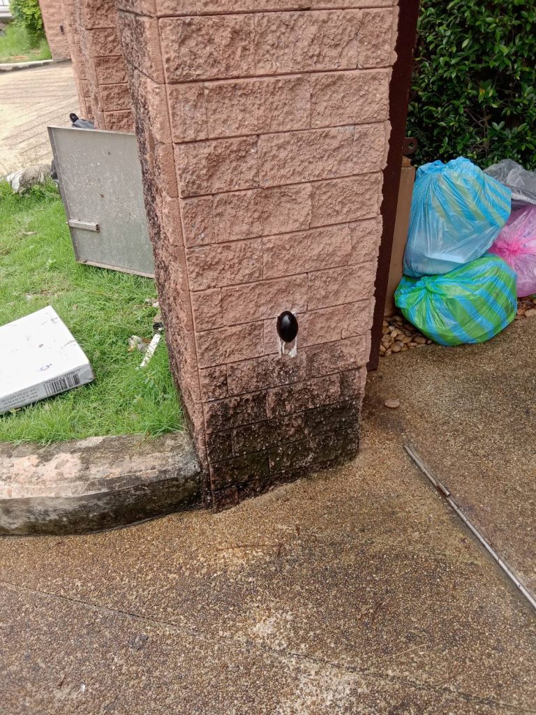 เซ็นเซอร์กันหนีบ