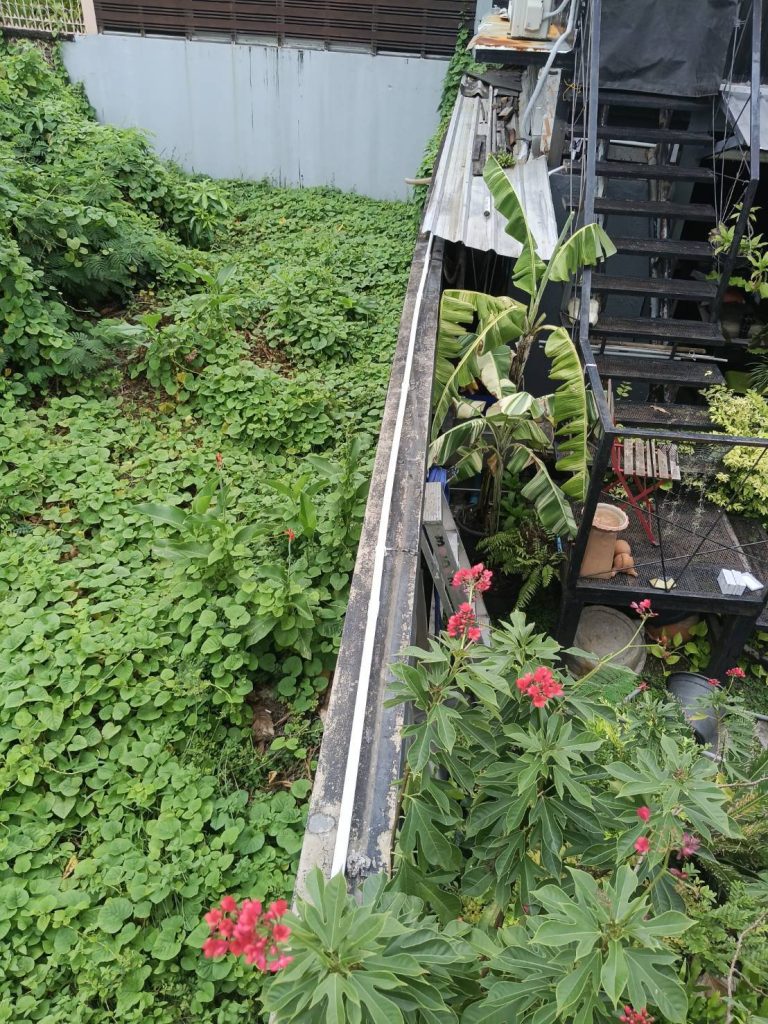 แนวท่อสายไฟ