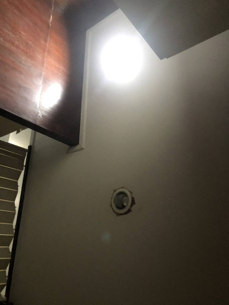 ดาวน์ไลท์