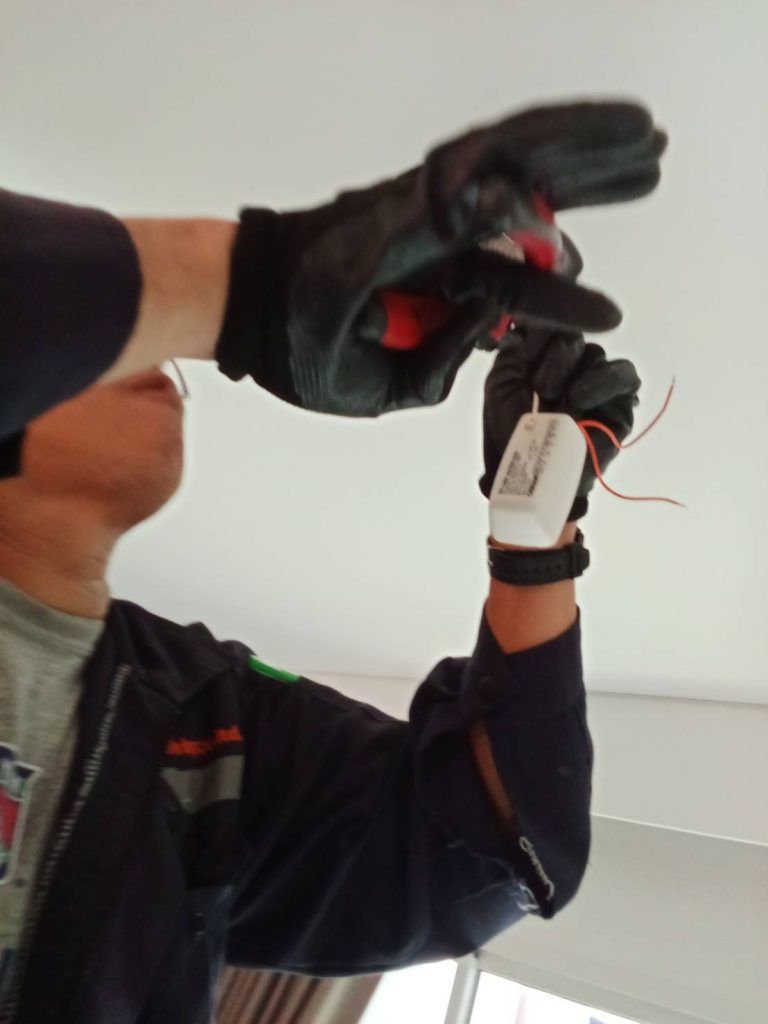 ตรวจเช็กดาวน์ไลท์