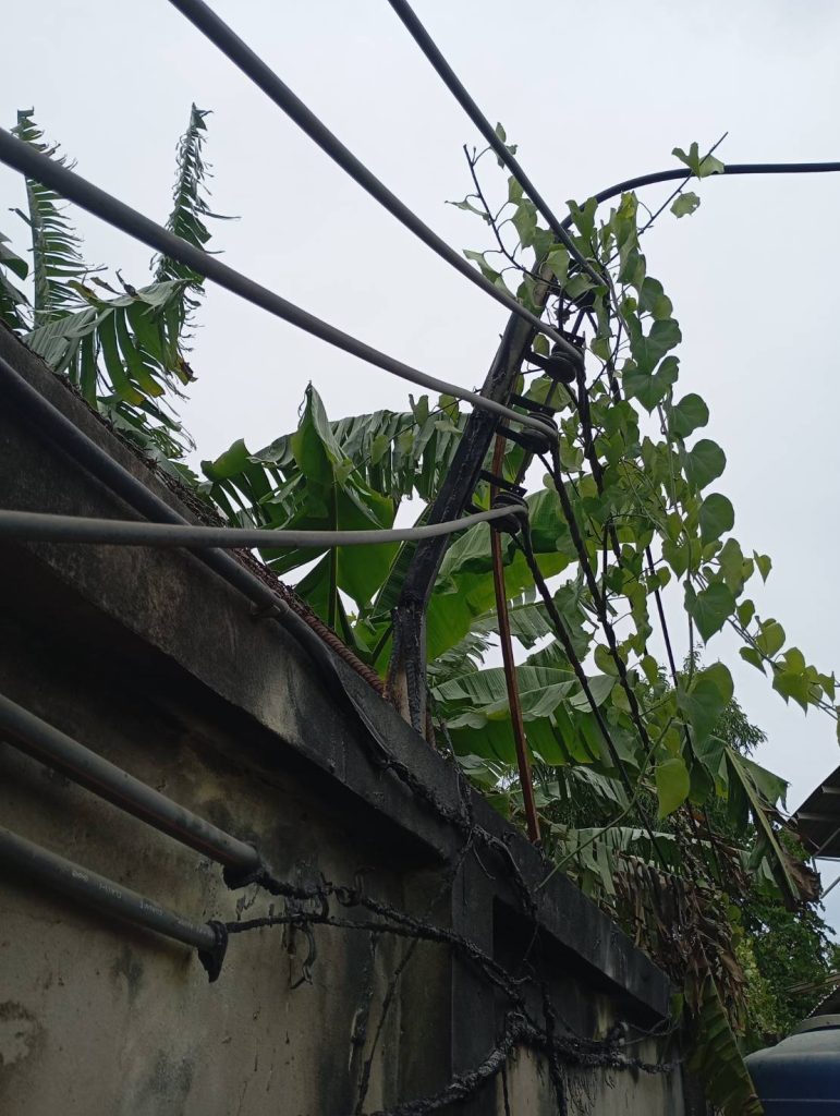 สายไฟเสียหายจากไฟไหม้