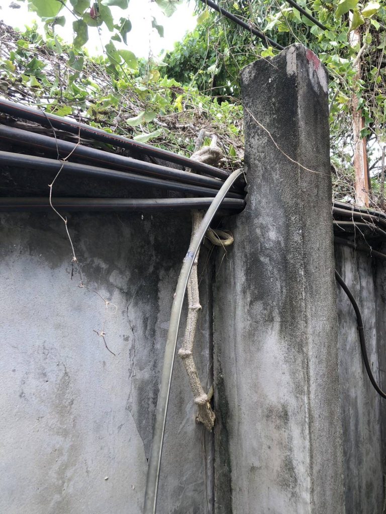 แนวสายไฟช็อตไหม้