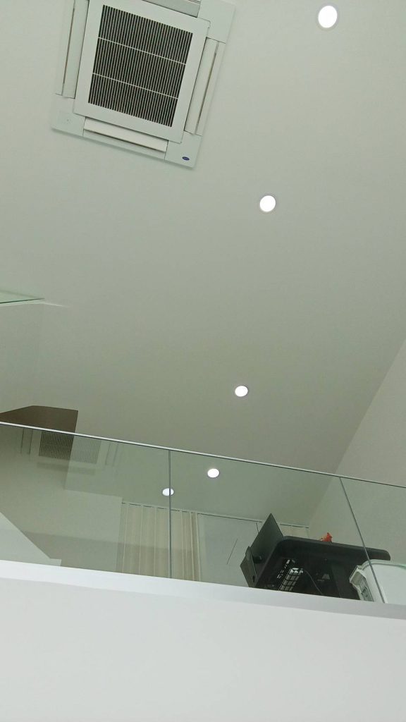 ดาวน์ไลท์