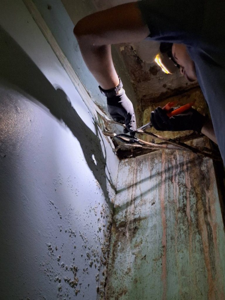 ซ่อมสายช็อต