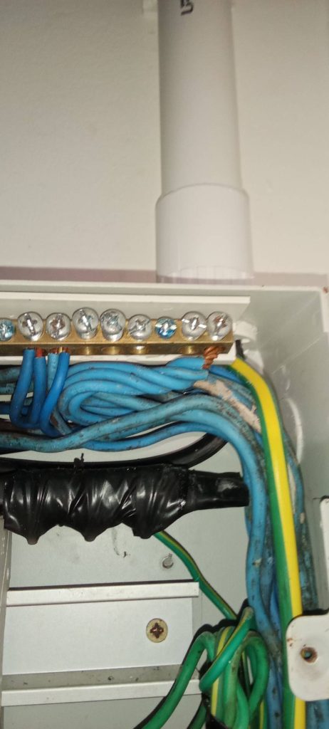 สายนิวทรัล