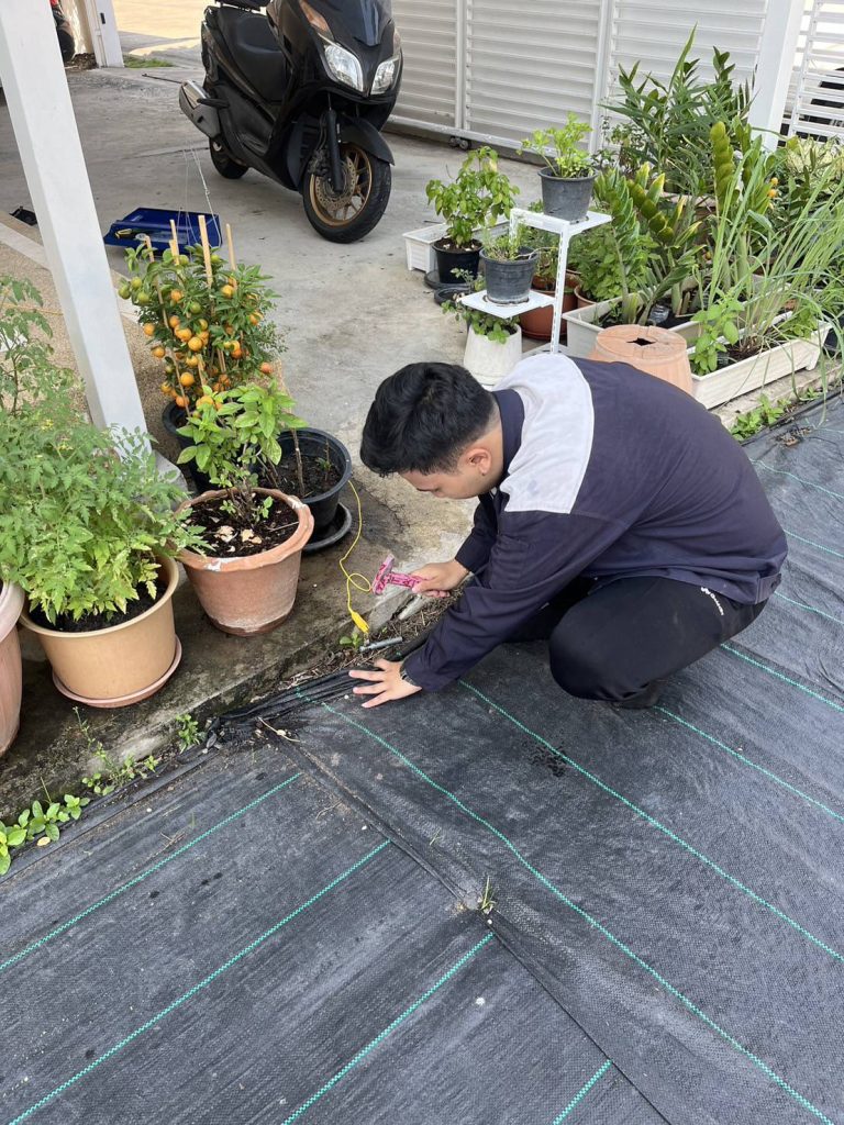 ตอกหลักวัดค่ากราวด์