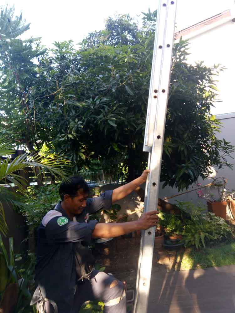 เตรียมปีนบันไดยาว