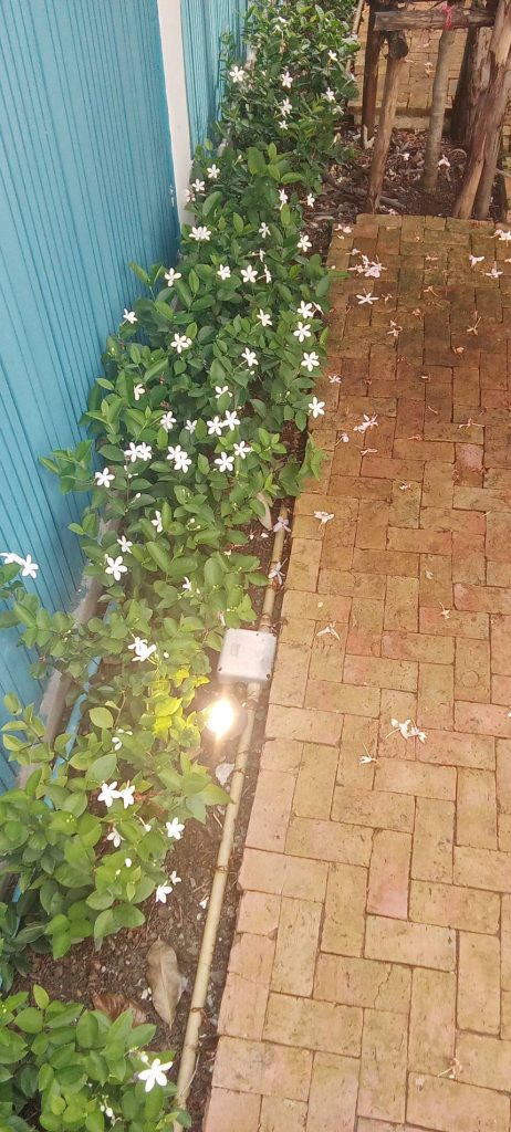 ติดตั้งสายดิน