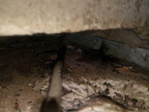 IMG_20190217_191653