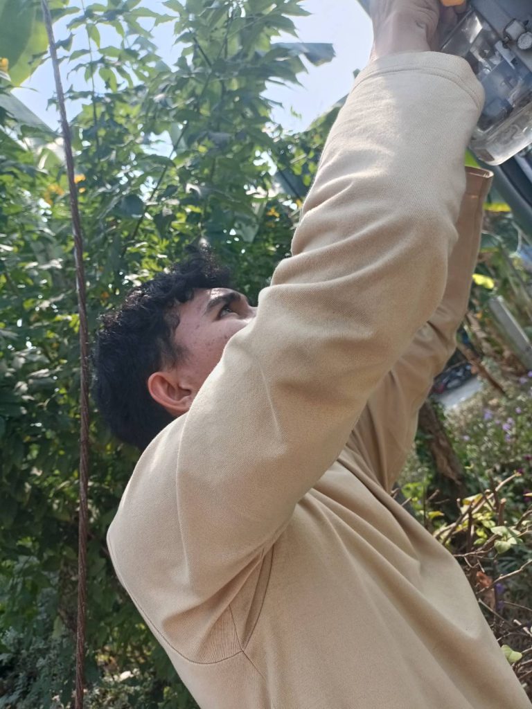 เดินสายเมน