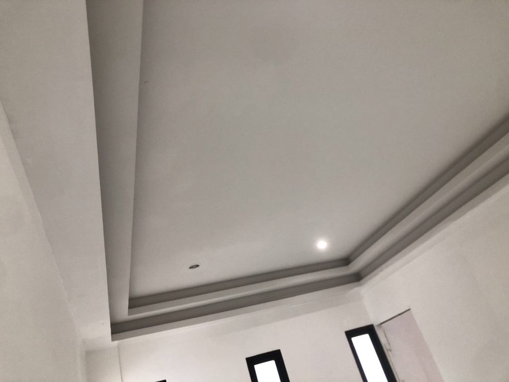 ดาวน์ไลท์