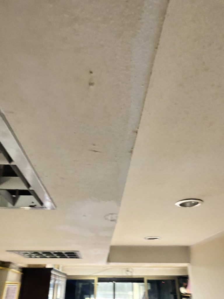 ดาวน์ไลท์