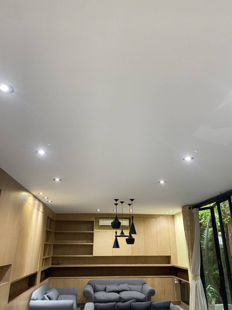 ดาวน์ไลท์