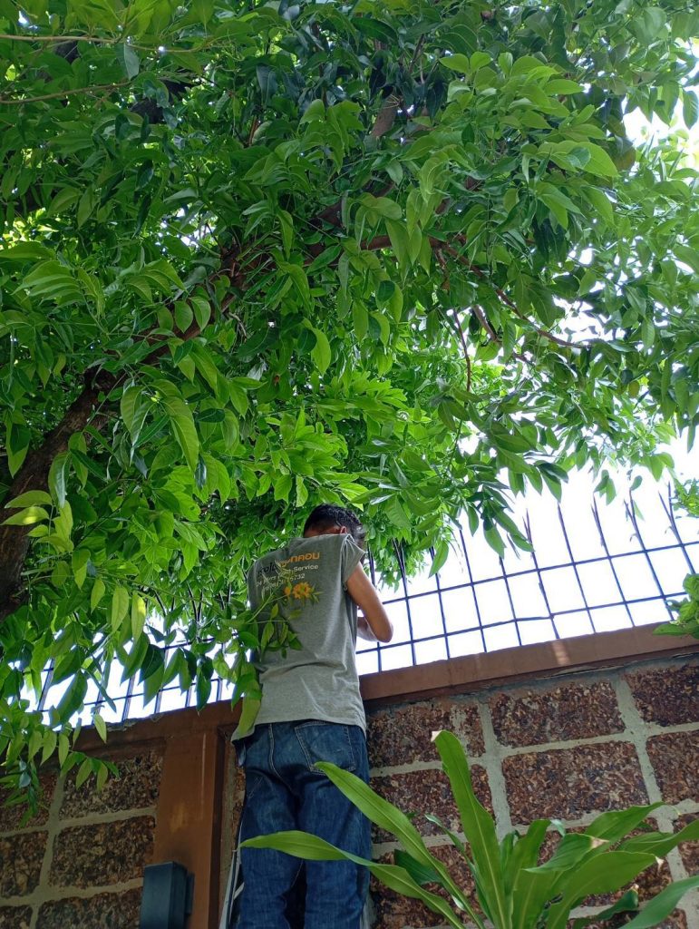 เดินท่อร้อยสาย