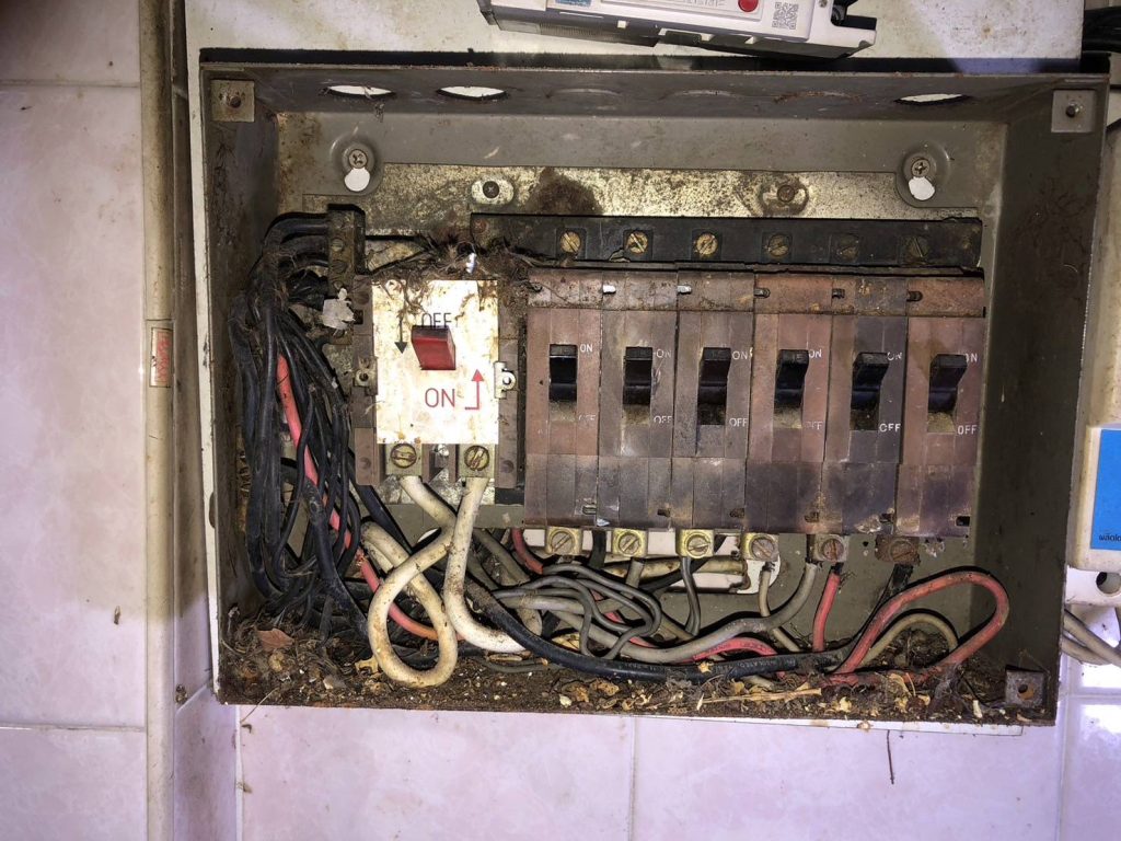 ตู้คอนซูมเก่าที่มีสัตว์เข้าไปทำรังเสี่ยงต่อการช็อตไหม้