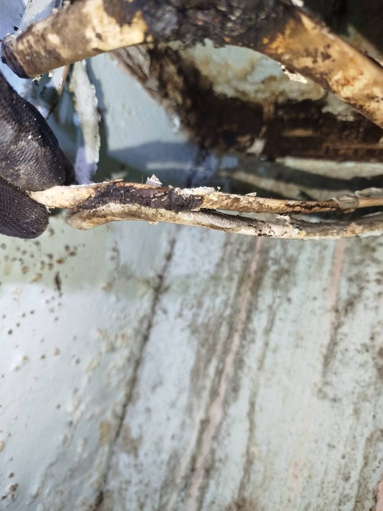 สายไฟเก่าชำรุดเสี่ยงช็อต