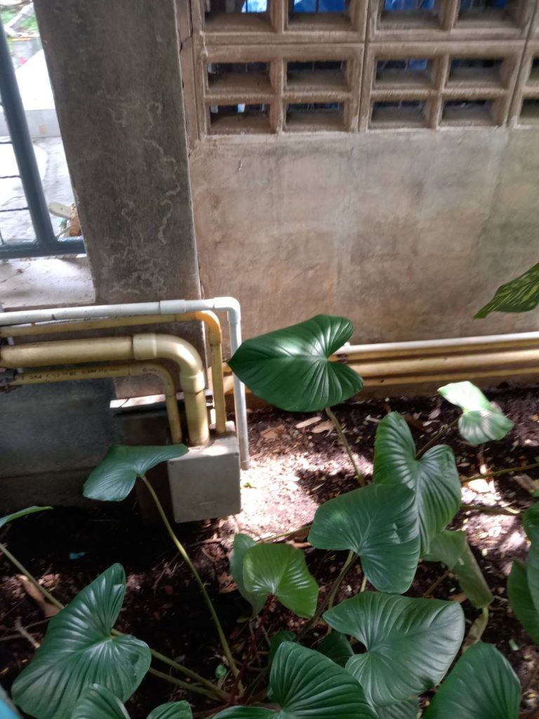 แนวท่อสายไฟ