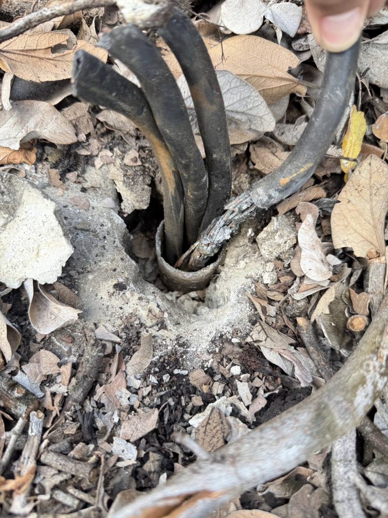 สายไฟช็อตไหม้ในท่อร้อยสายไฟ