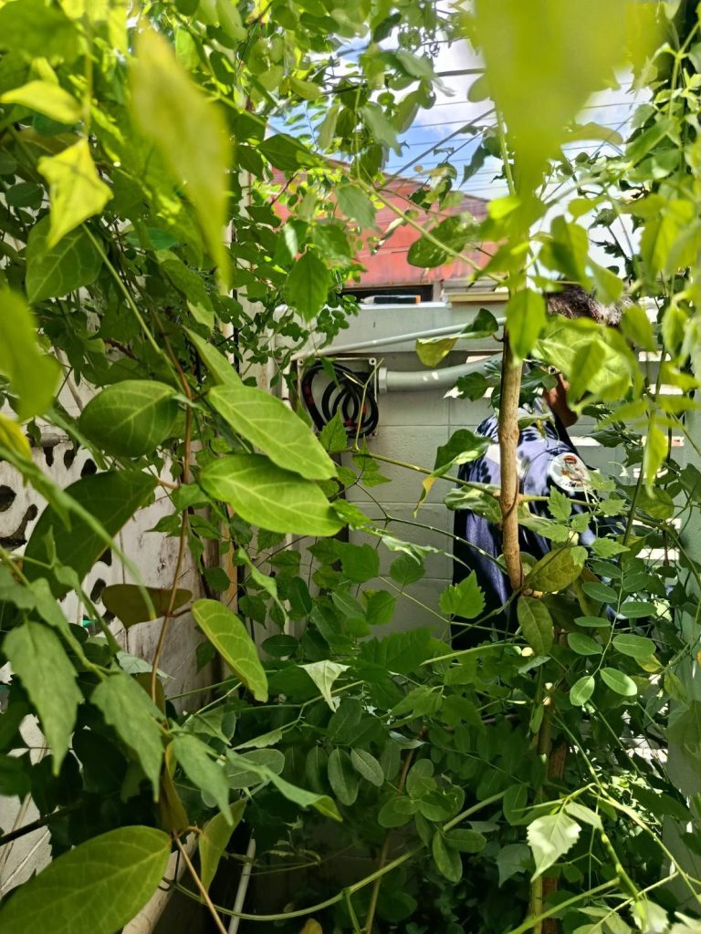 กล่องพักสาย